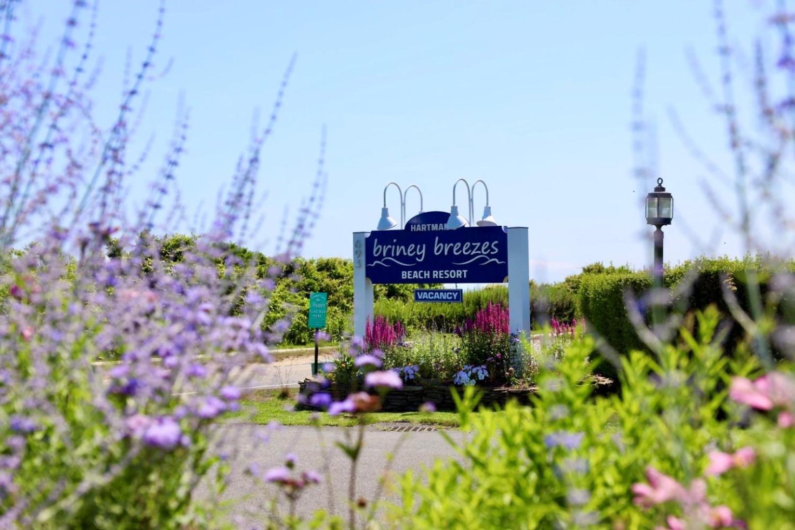 Hartman'S Briney Breezes Beach Resort Μοντόκ Εξωτερικό φωτογραφία
